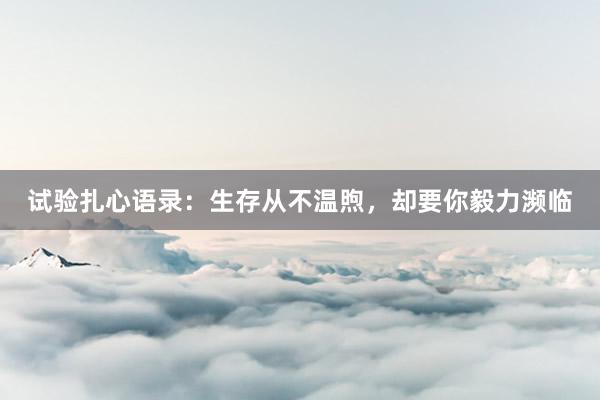 试验扎心语录：生存从不温煦，却要你毅力濒临