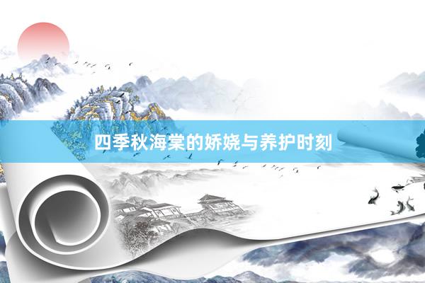 四季秋海棠的娇娆与养护时刻