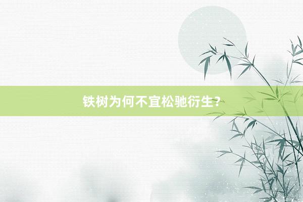 铁树为何不宜松驰衍生？