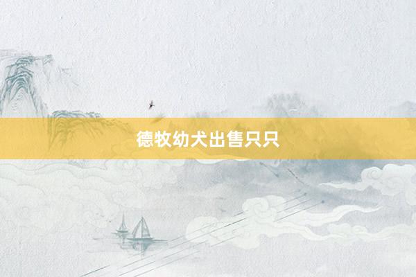 德牧幼犬出售只只